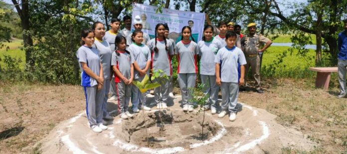 Mirapur-News Mirapur News