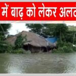 Odisha News