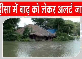 Odisha News