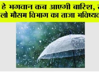 Rain News