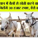 Rajasthan Government News
