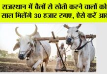Rajasthan Government News
