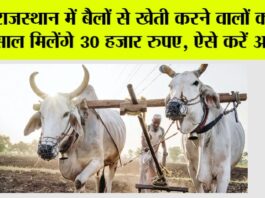 Rajasthan Government News