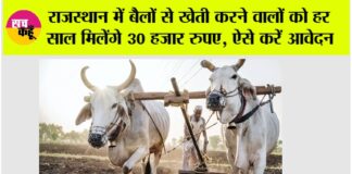 Rajasthan Government News