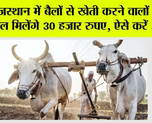 Rajasthan Government News