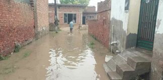 Kaithal News