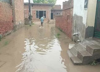 Kaithal News