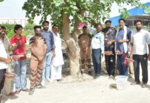 Hanumangarh News