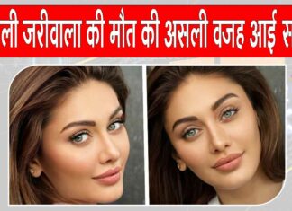 Shefali Jariwala death update: शेफाली जरीवाला केस में हुआ चौंकाने वाला बड़ा खुलासा! फॉरेंसिक टीम ने बताई मौत की असली वजह Shefali Jariwala death update