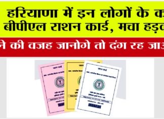 Haryana BPL Ration Card
