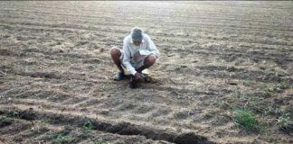 Sirsa Weather