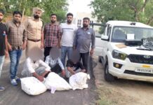 Sirsa News