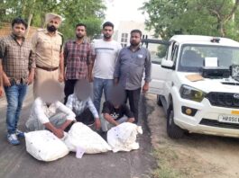 Sirsa News