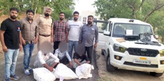 Sirsa News