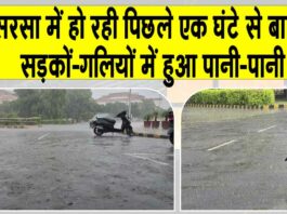 Sirsa Weather Update
