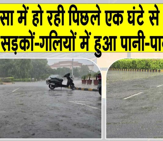 Sirsa Weather Update