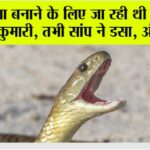 Snake