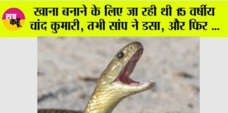 Snake