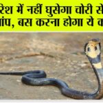 Snake News: