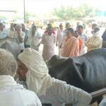 Uklana News