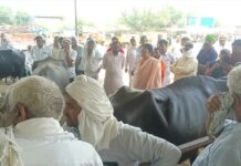 Uklana News