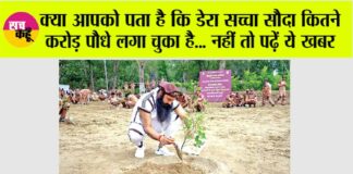 dera sacha sauda