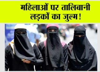 Afghanistan News: