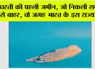 Ajab Gajab News