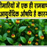 Benefits of Akarkara