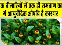 Benefits of Akarkara