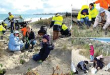 Perth News