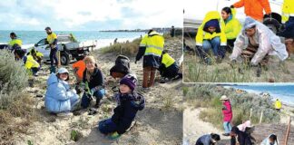 Perth News