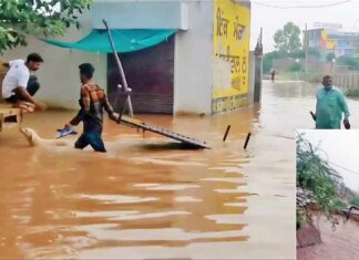 Bathinda News