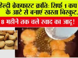 Breakfast Aata Biscuit