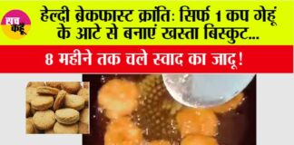 Breakfast Aata Biscuit
