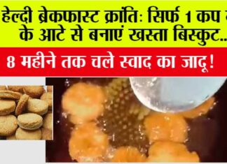 Breakfast Aata Biscuit
