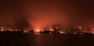 Canada wildfires News