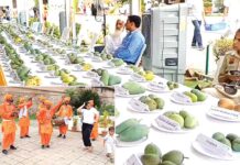 Mango Fair