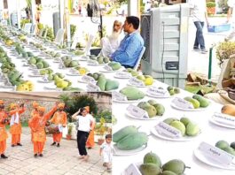Mango Fair