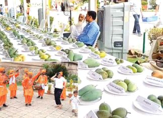 Mango Fair