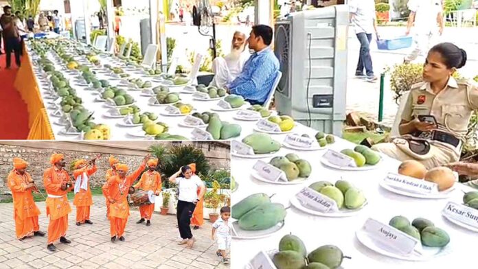 Mango Fair