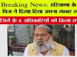 Anil Vij in Action
