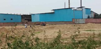 Chhachhrauli