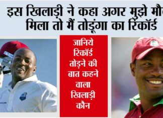 Cricket