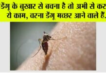 Dengue Fever Symptoms