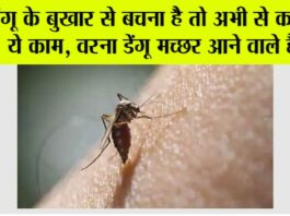 Dengue Fever Symptoms