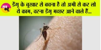 Dengue Fever Symptoms