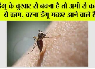 Dengue Fever Symptoms