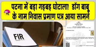 Dog Babu Certificate