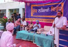 Fazilka News